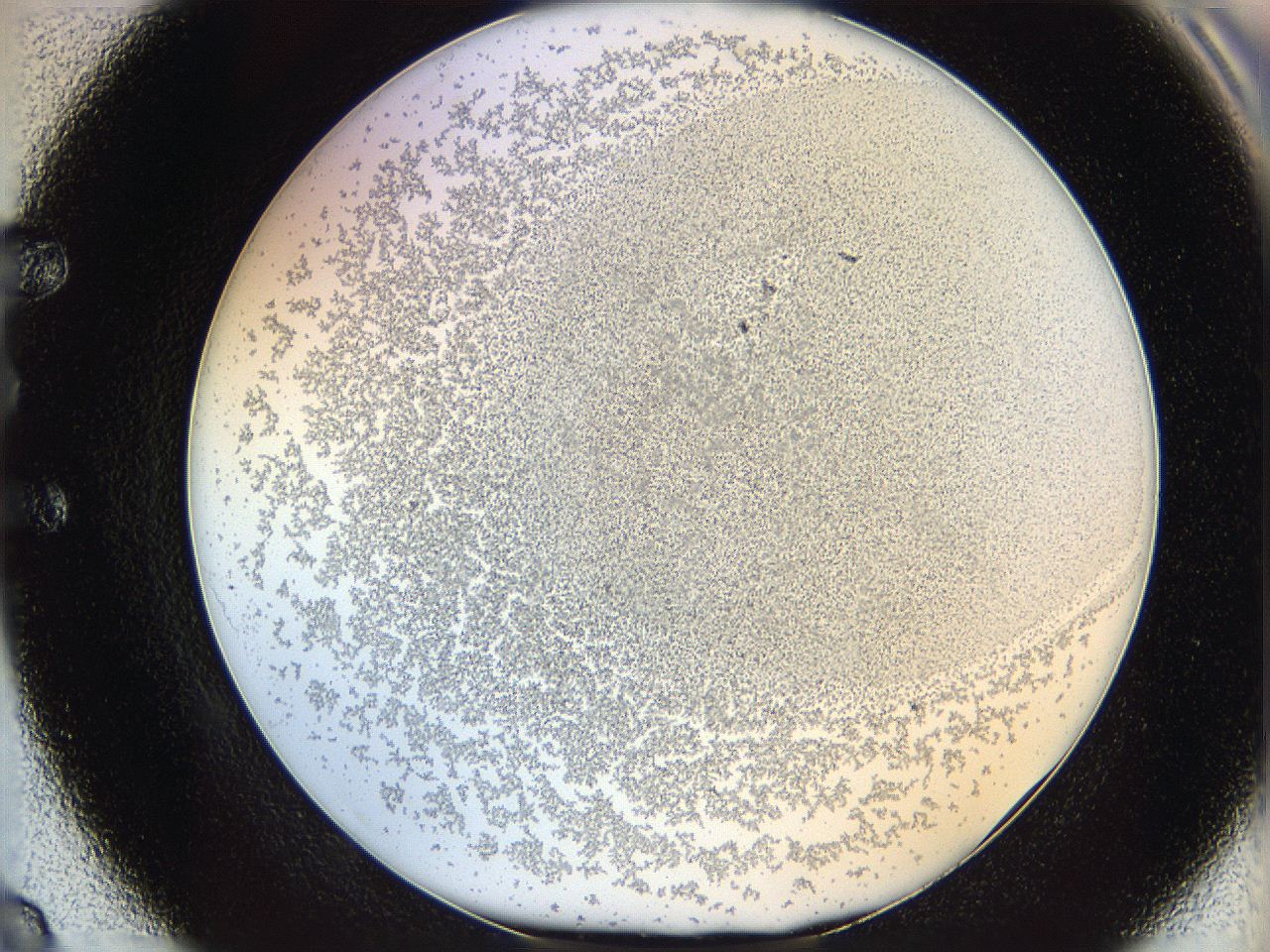 06i2_E8_ImagerDefaults_5.jpg