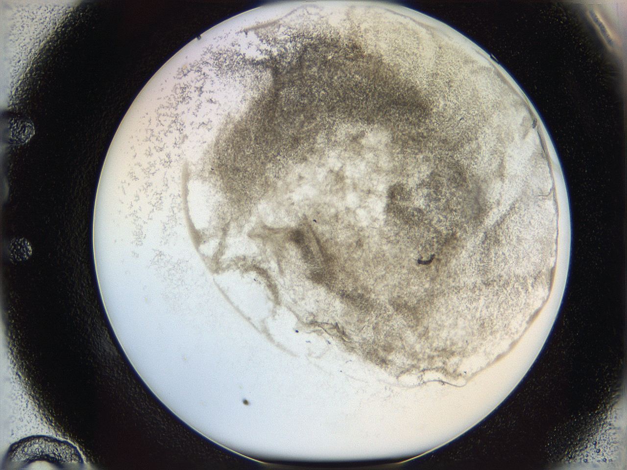 06i2_E10_ImagerDefaults_3.jpg