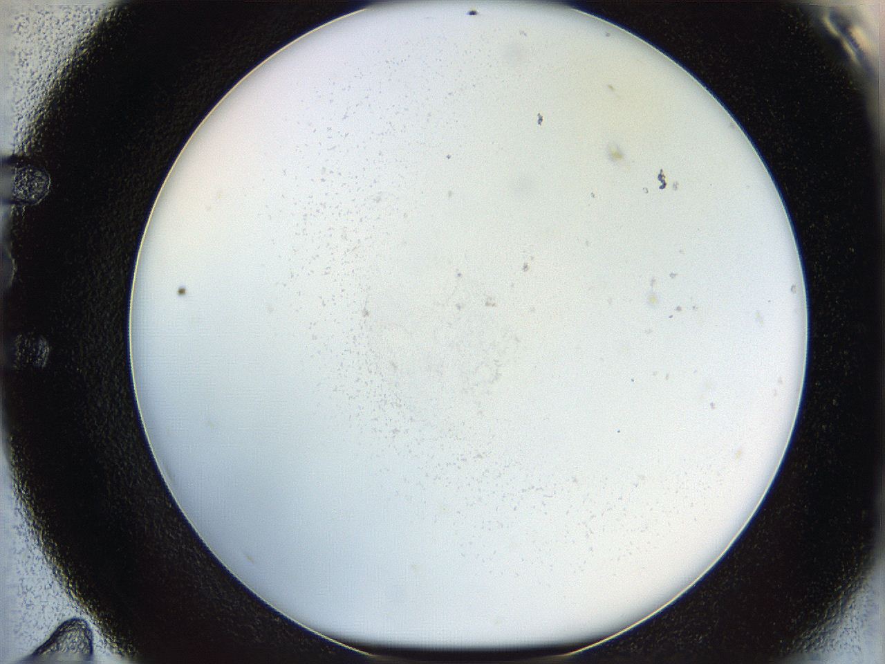 06i2_E11_ImagerDefaults_2.jpg