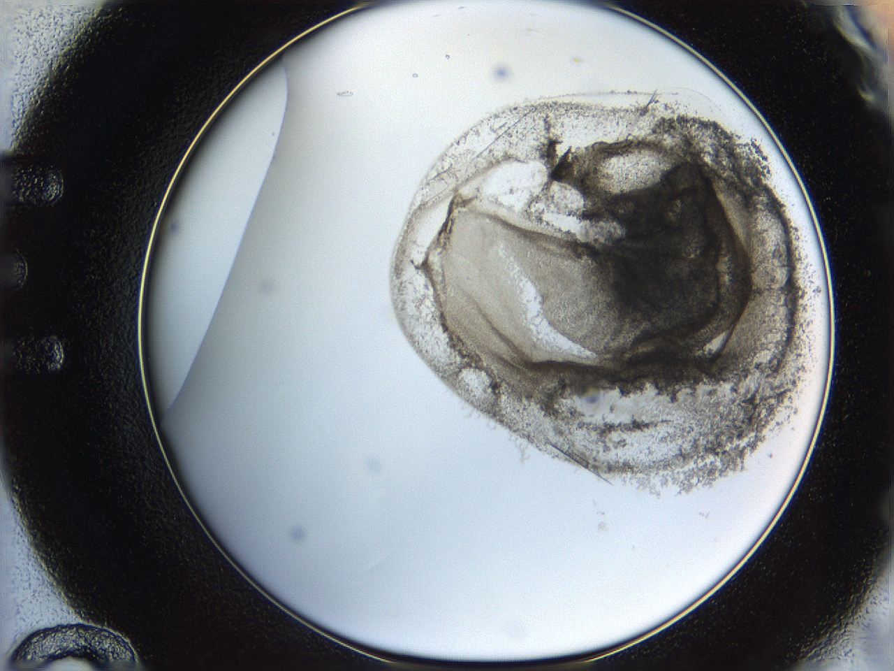 06i2_E12_ImagerDefaults_3.jpg