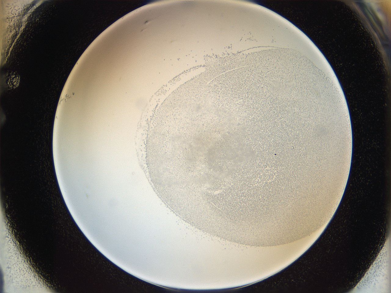 06i2_F1_ImagerDefaults_5.jpg