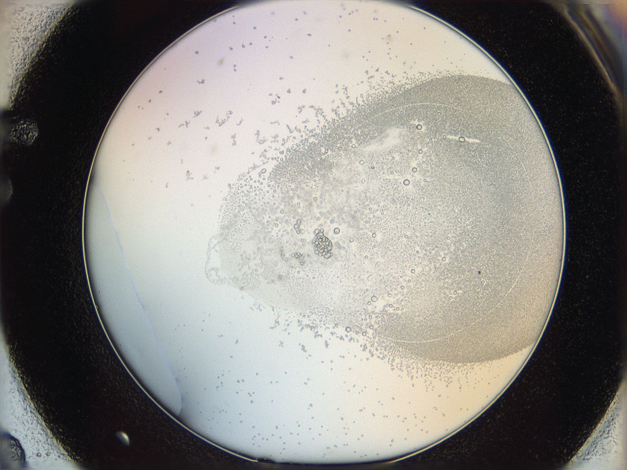 06i2_F2_ImagerDefaults_5.jpg