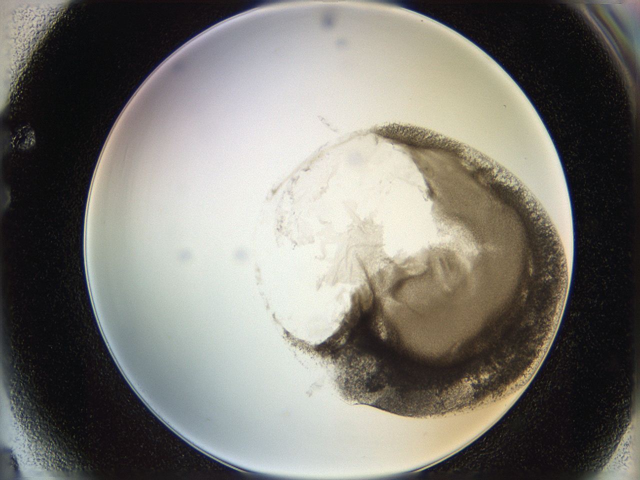 06i2_F4_ImagerDefaults_3.jpg
