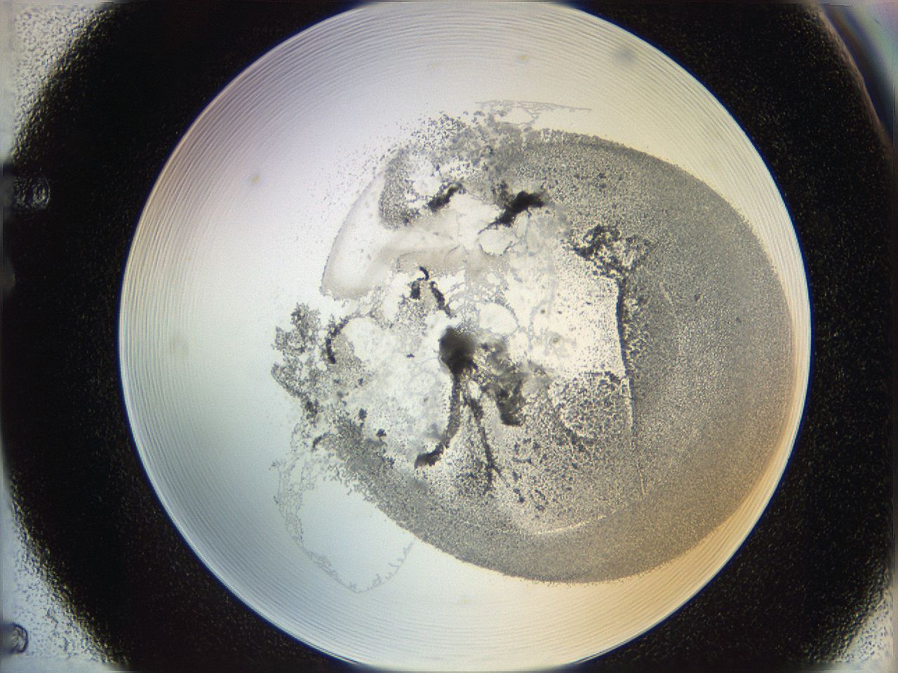 06i2_F5_ImagerDefaults_3.jpg