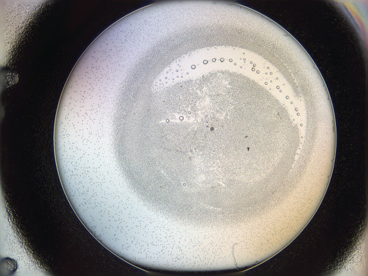 06i2_F7_ImagerDefaults_5.jpg
