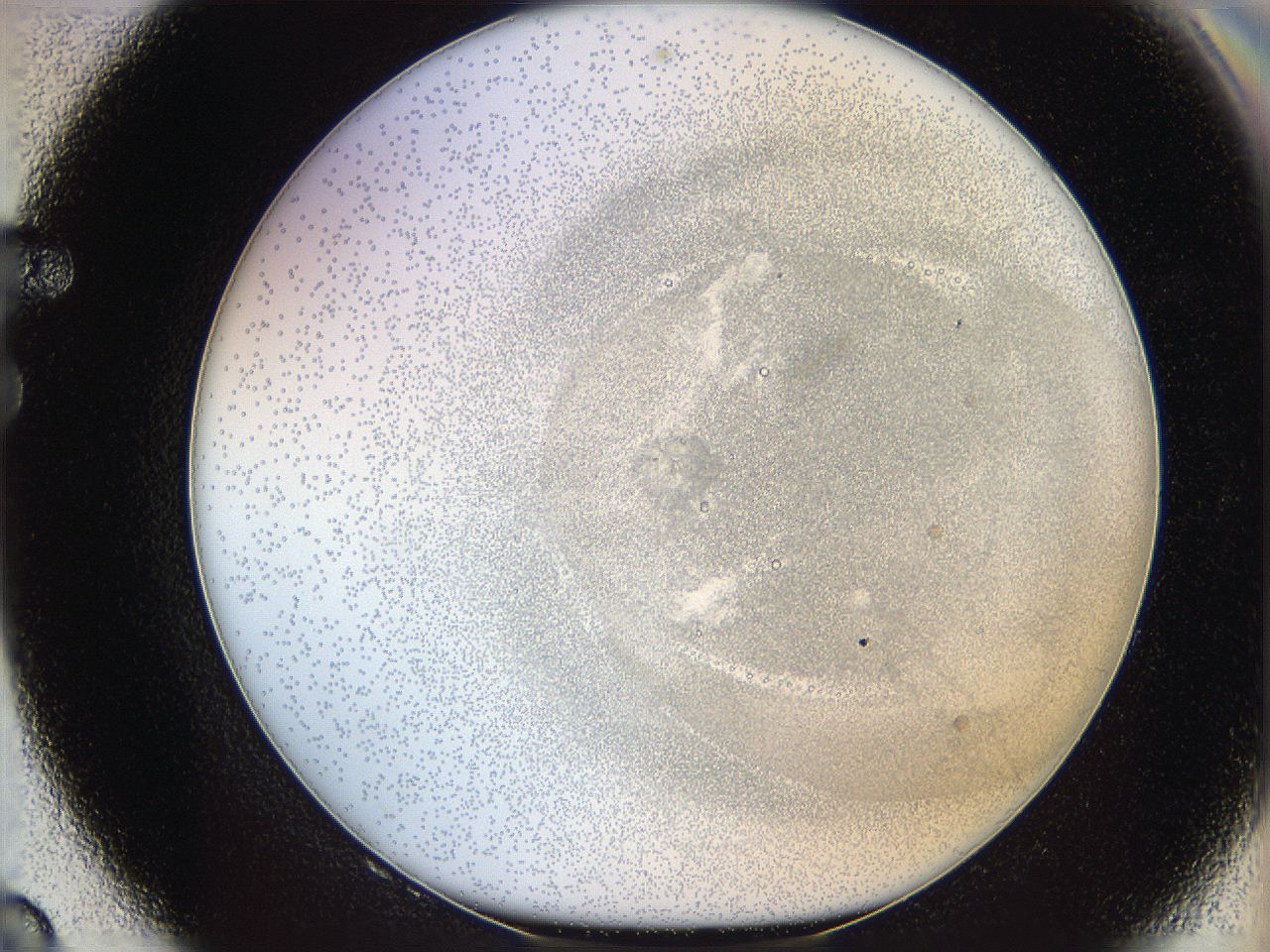 06i2_F8_ImagerDefaults_5.jpg