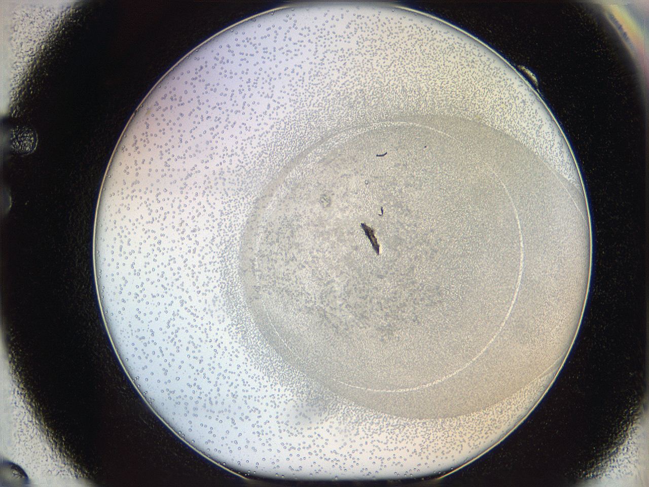 06i2_F9_ImagerDefaults_5.jpg