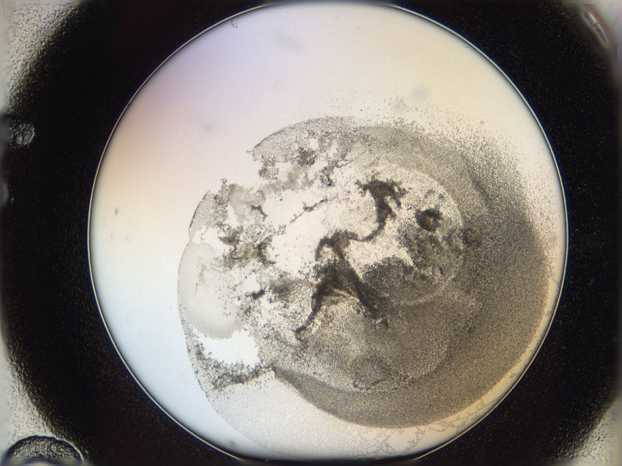06i2_F10_ImagerDefaults_3.jpg