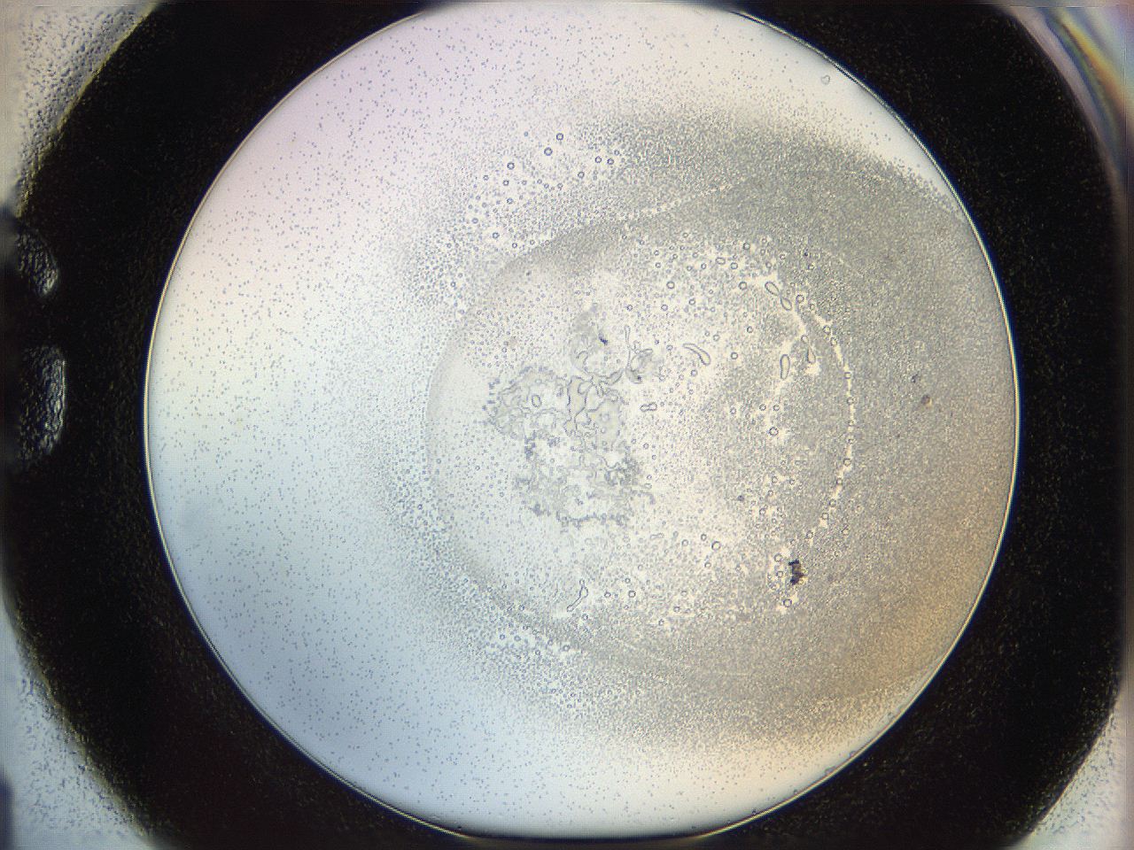 06i2_G1_ImagerDefaults_5.jpg