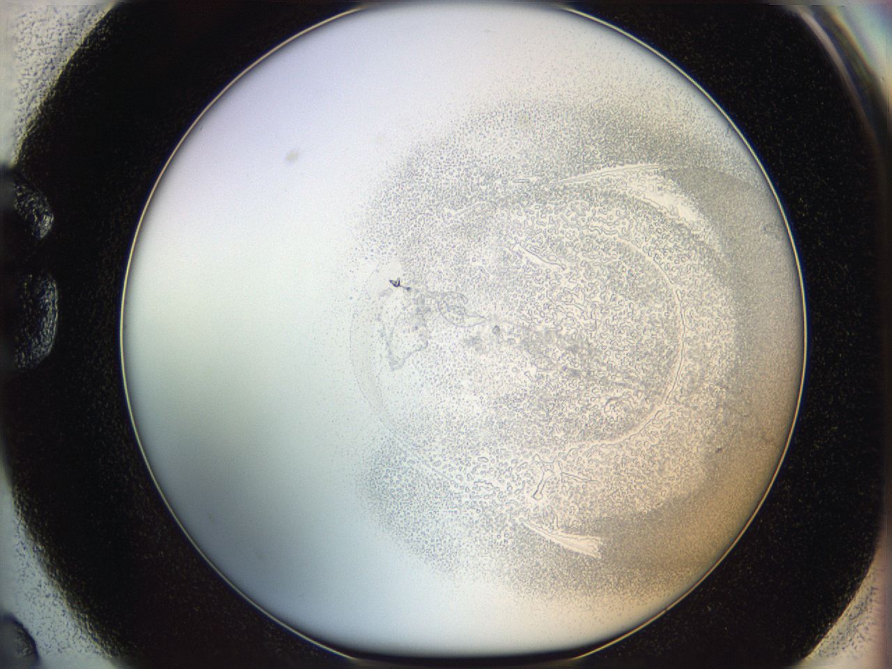 06i2_G2_ImagerDefaults_5.jpg