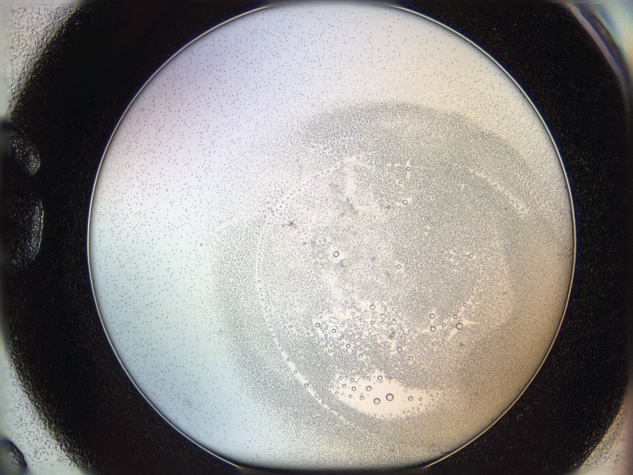 06i2_G3_ImagerDefaults_5.jpg
