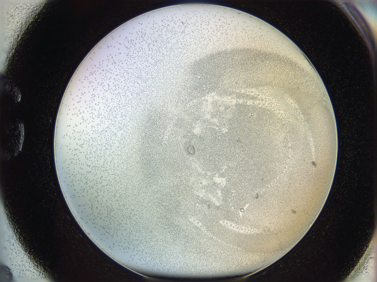 06i2_G4_ImagerDefaults_5.jpg