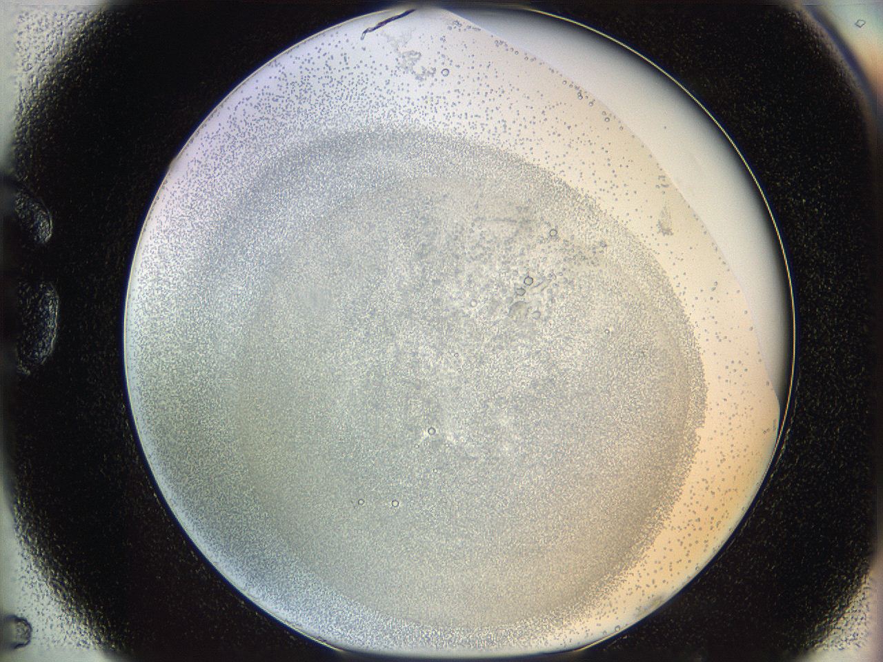 06i2_G5_ImagerDefaults_5.jpg