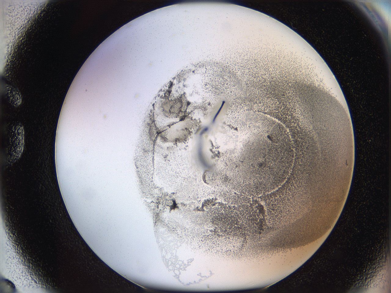 06i2_G8_ImagerDefaults_3.jpg