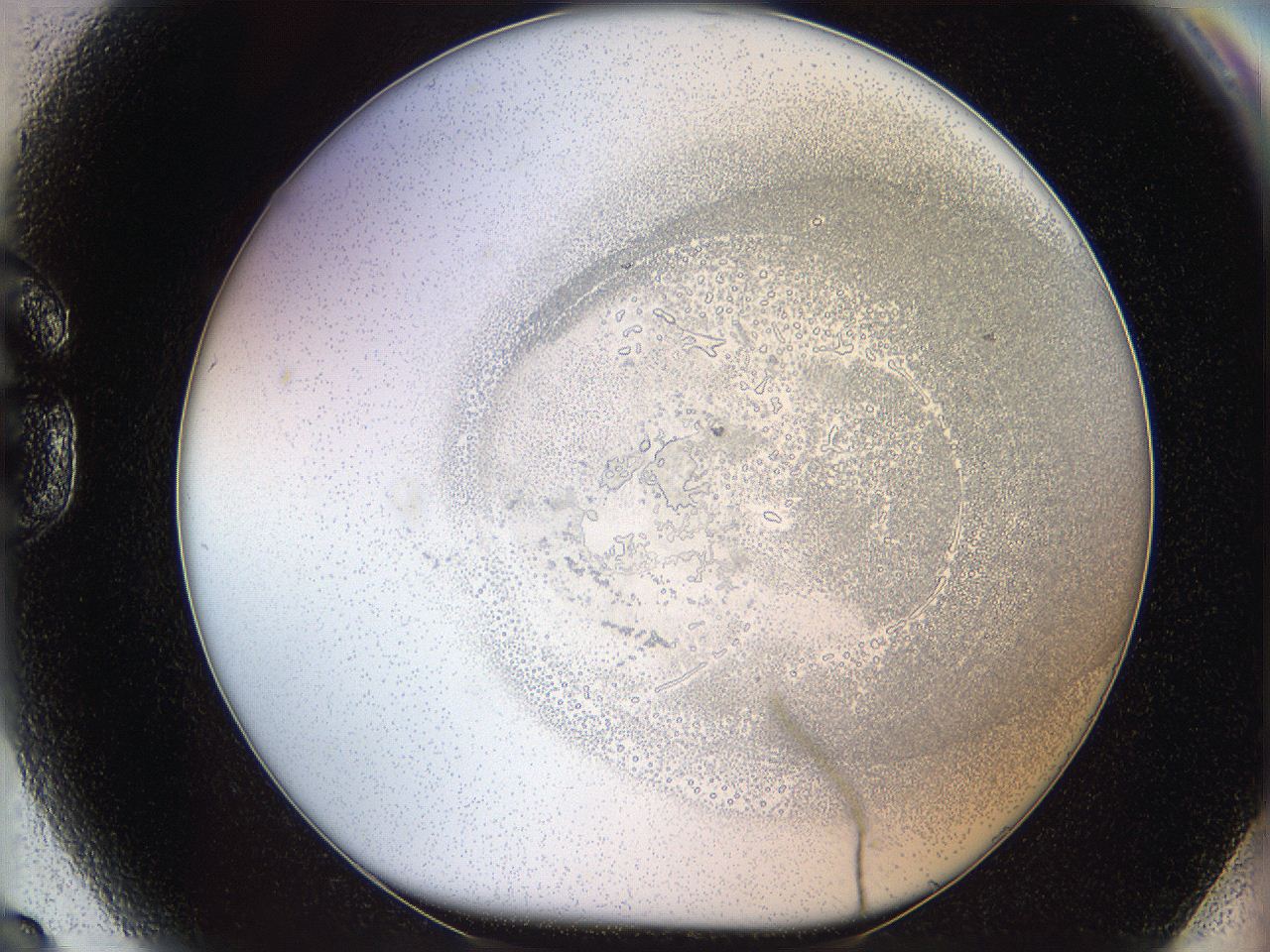 06i2_G9_ImagerDefaults_5.jpg