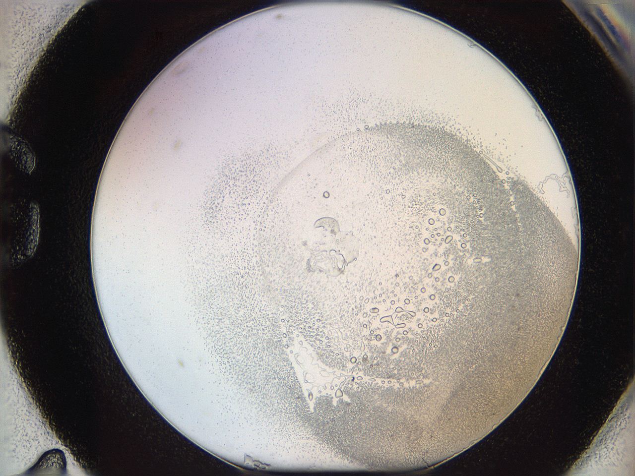 06i2_G11_ImagerDefaults_5.jpg