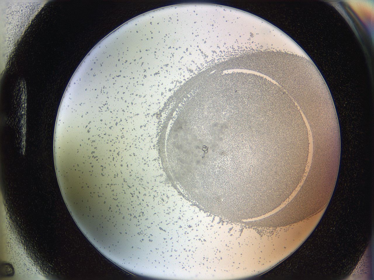 06i2_H5_ImagerDefaults_5.jpg