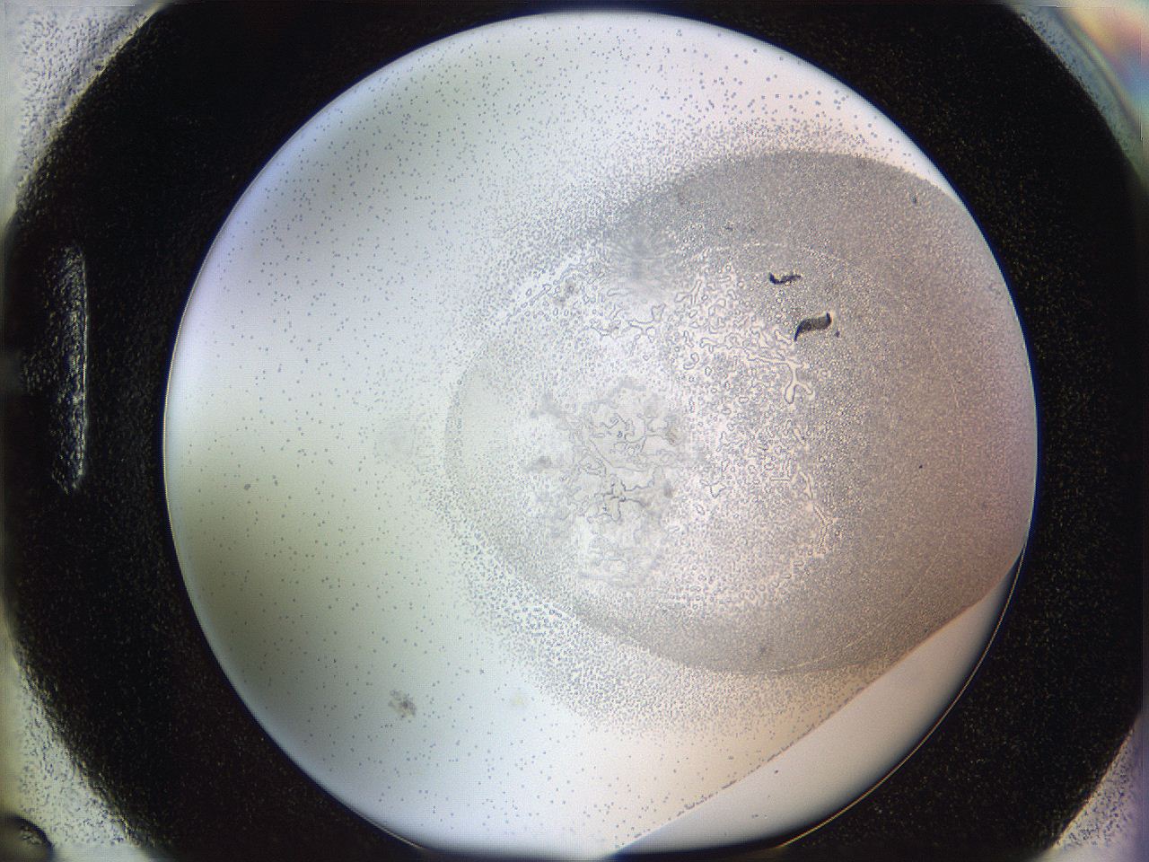 06i2_H6_ImagerDefaults_5.jpg