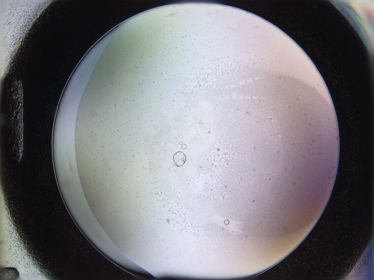06i2_H7_ImagerDefaults_5.jpg