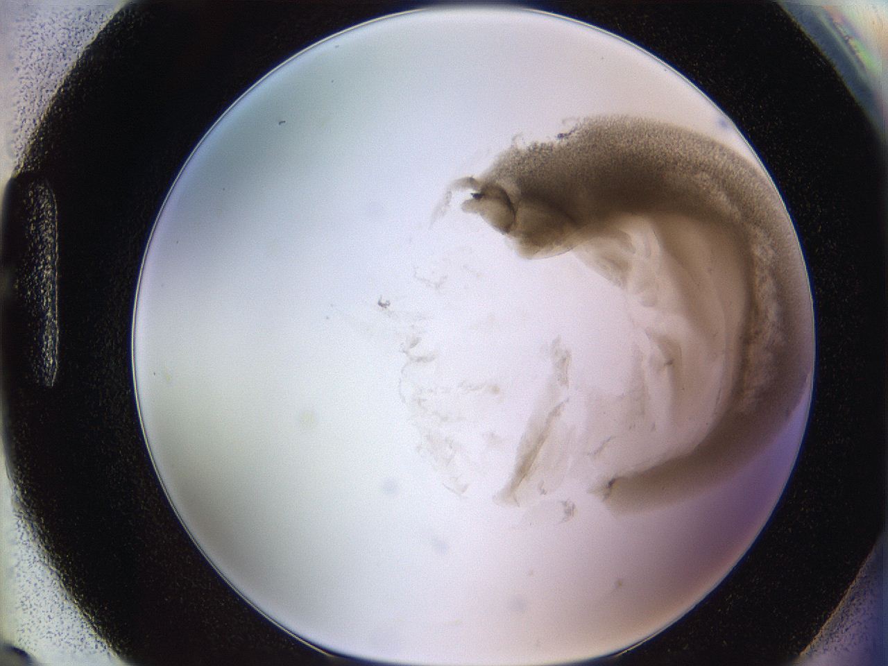 06i2_H9_ImagerDefaults_3.jpg