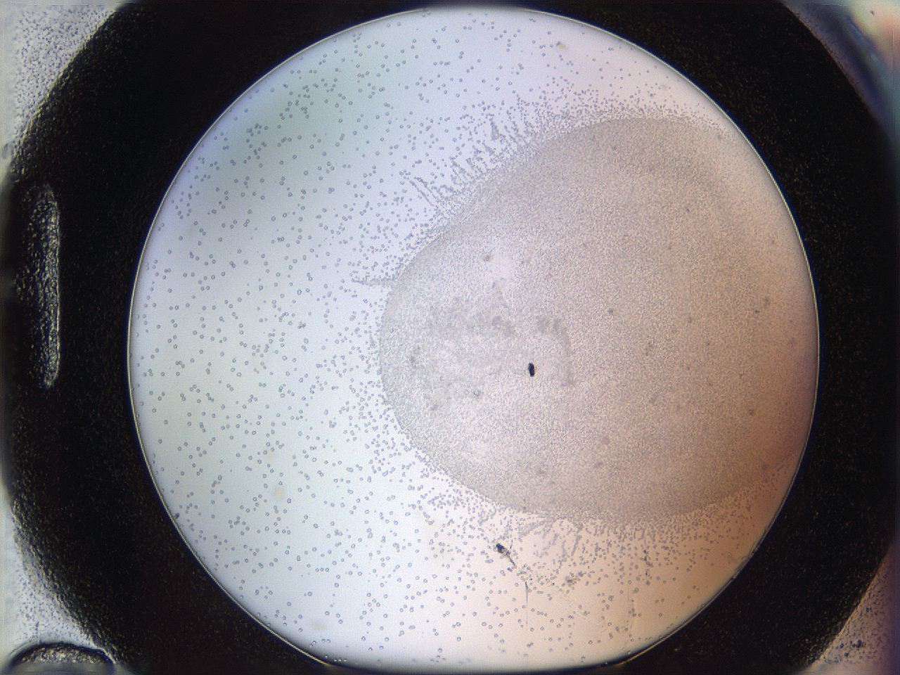 06i2_H10_ImagerDefaults_5.jpg