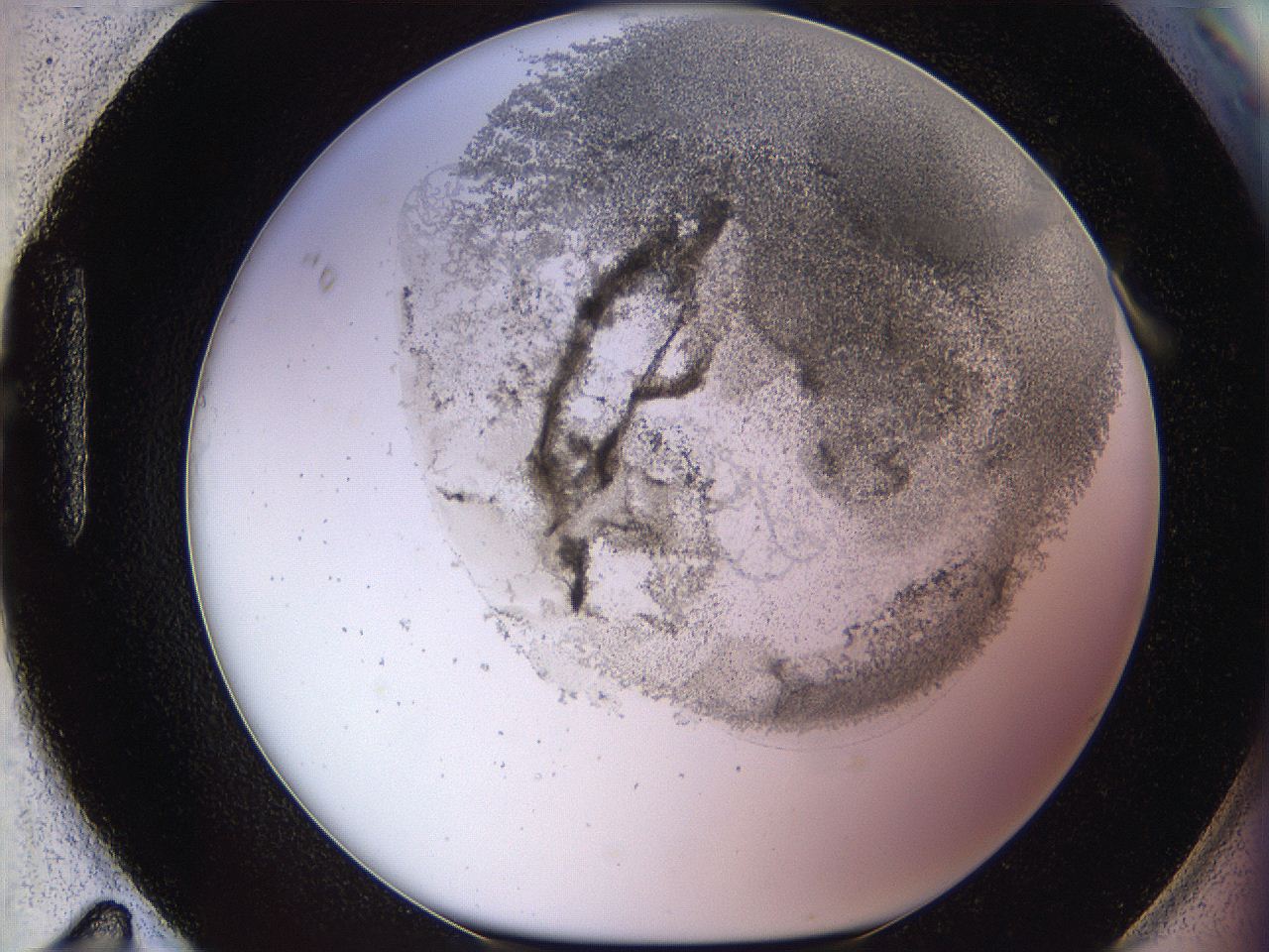 06i2_H11_ImagerDefaults_3.jpg