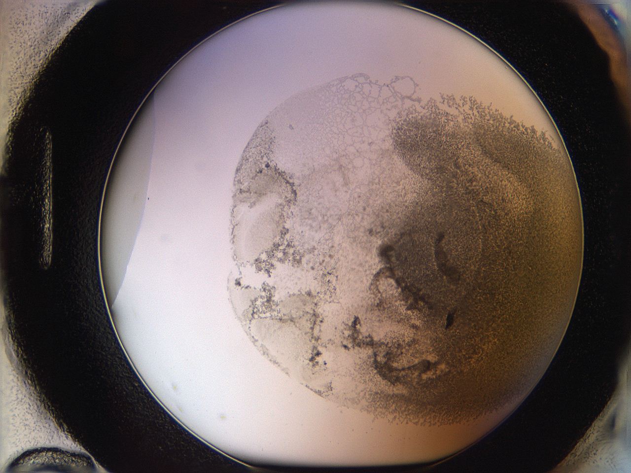 06i2_H12_ImagerDefaults_3.jpg