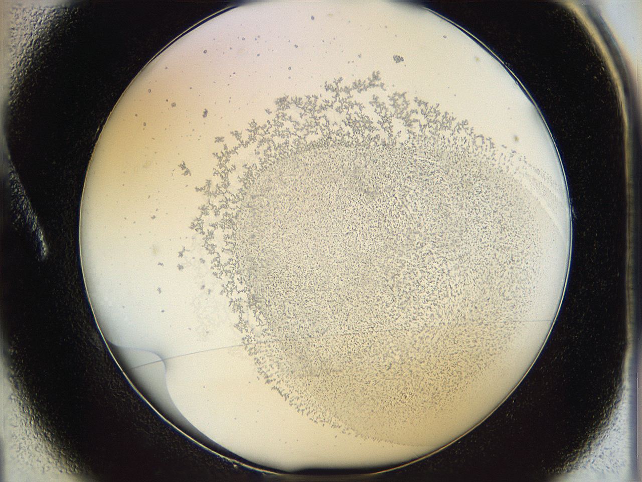 06i3_A1_ImagerDefaults_5.jpg