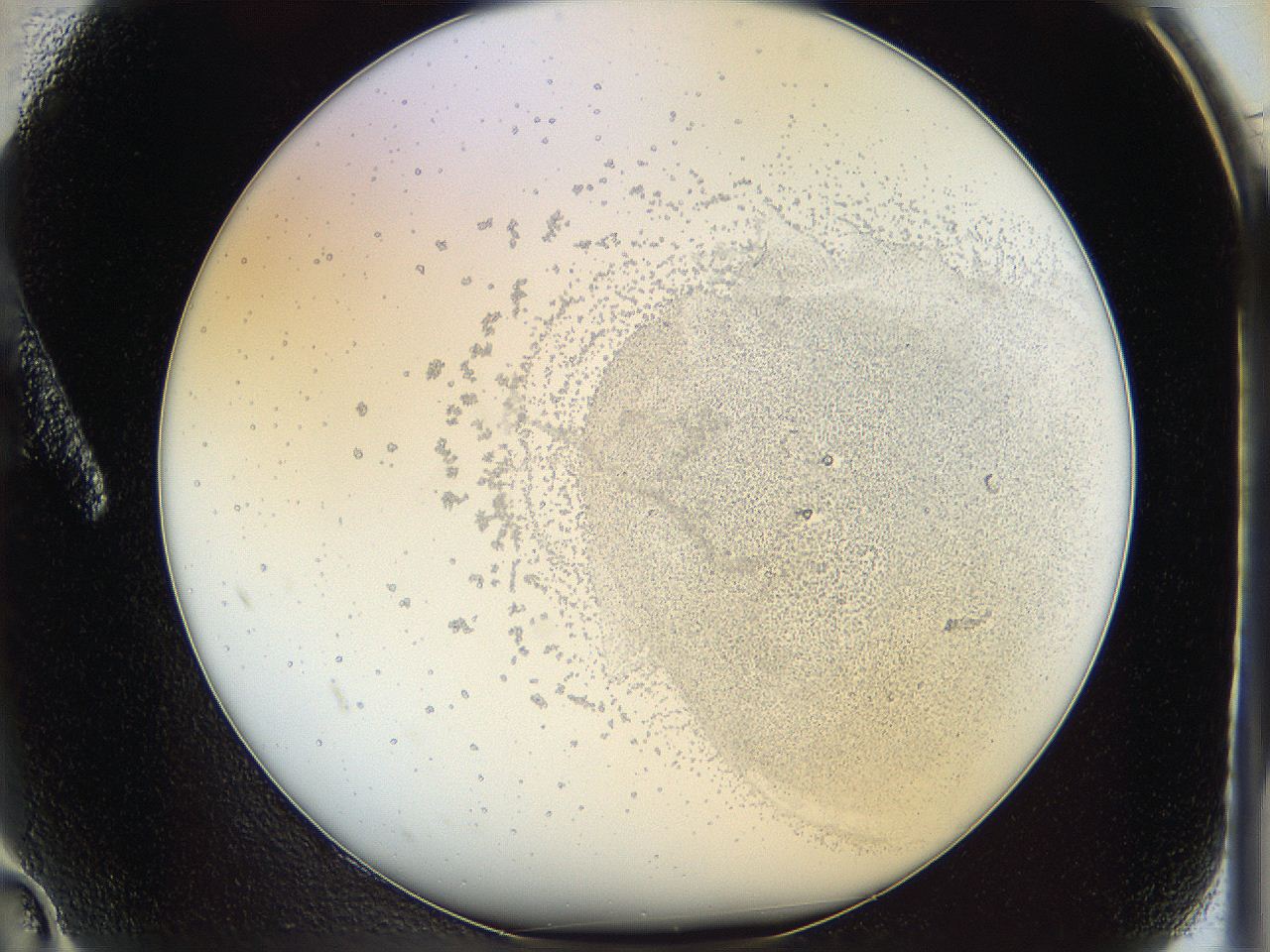06i3_A2_ImagerDefaults_5.jpg