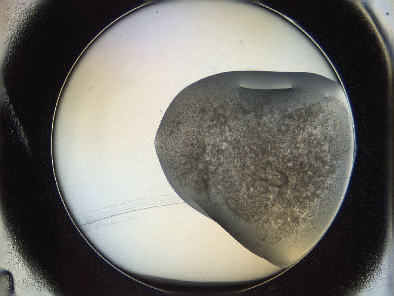 06i3_A4_ImagerDefaults_3.jpg