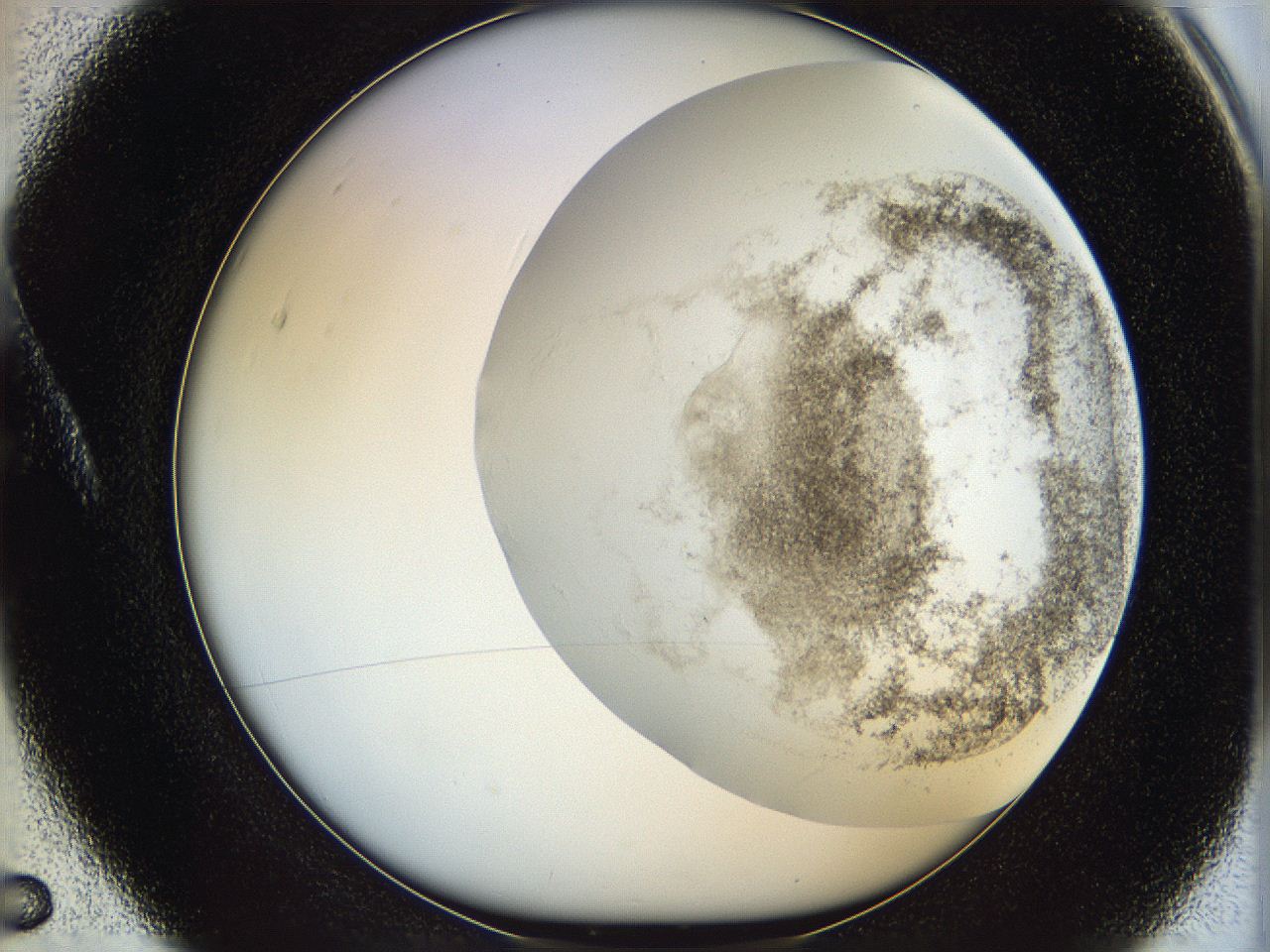 06i3_A5_ImagerDefaults_3.jpg