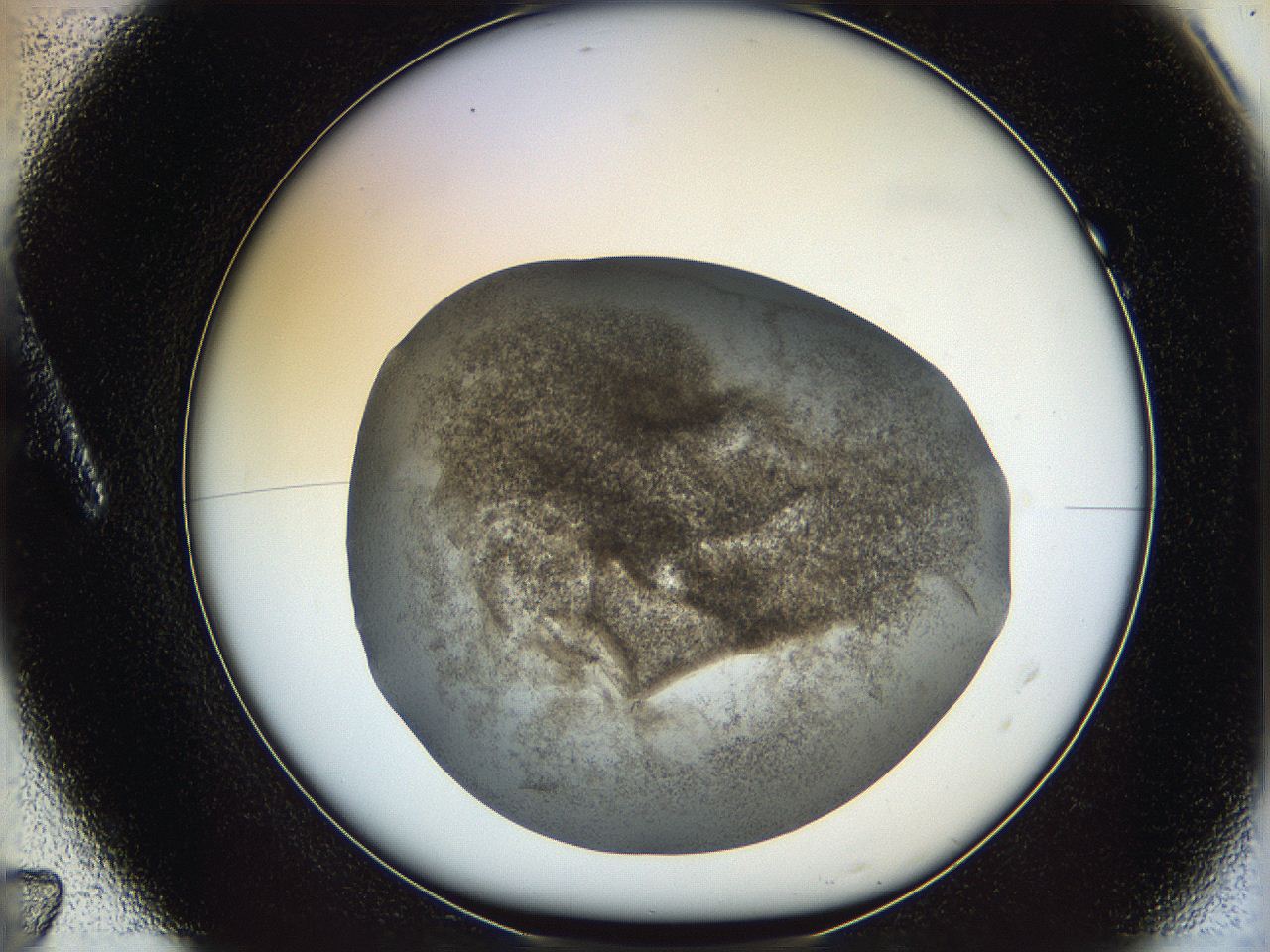 06i3_A7_ImagerDefaults_3.jpg