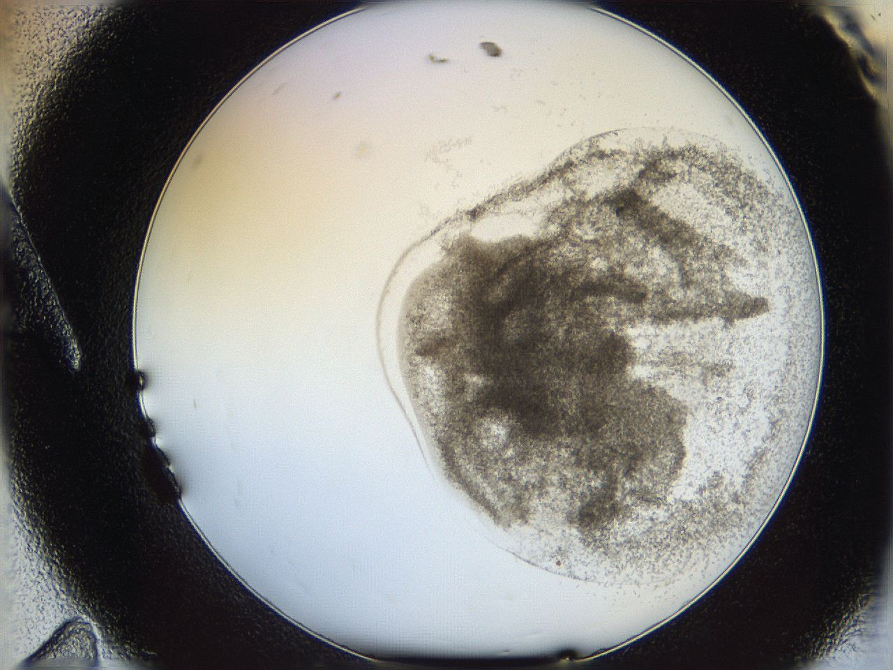 06i3_A11_ImagerDefaults_3.jpg
