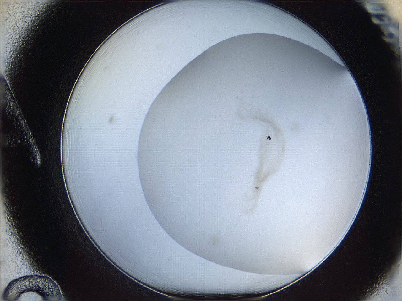 06i3_A12_ImagerDefaults_2.jpg