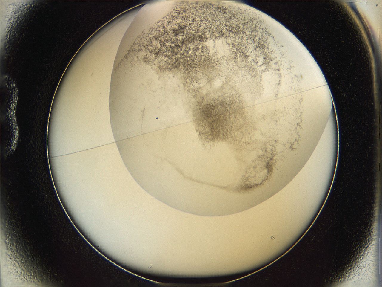 06i3_B1_ImagerDefaults_3.jpg