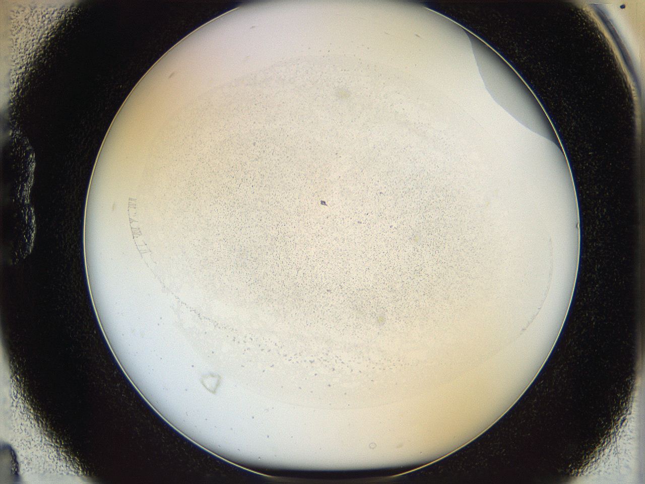 06i3_B4_ImagerDefaults_2.jpg