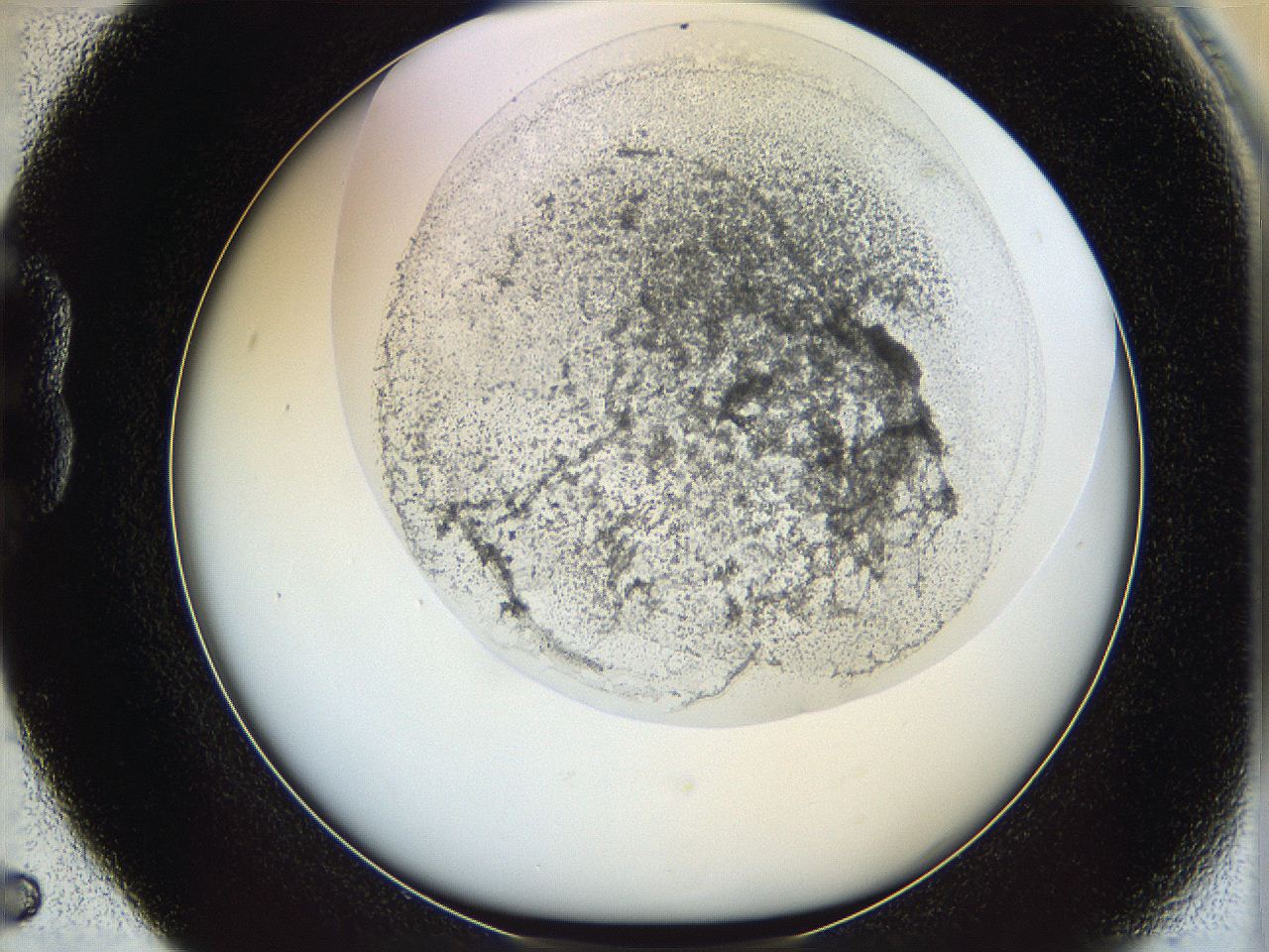 06i3_B5_ImagerDefaults_3.jpg