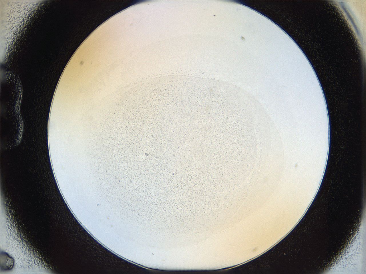 06i3_B6_ImagerDefaults_2.jpg