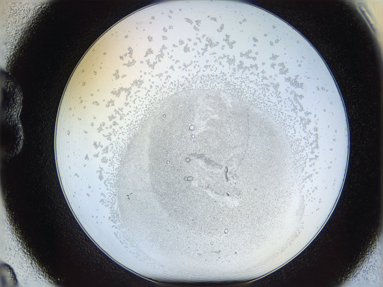 06i3_B8_ImagerDefaults_5.jpg