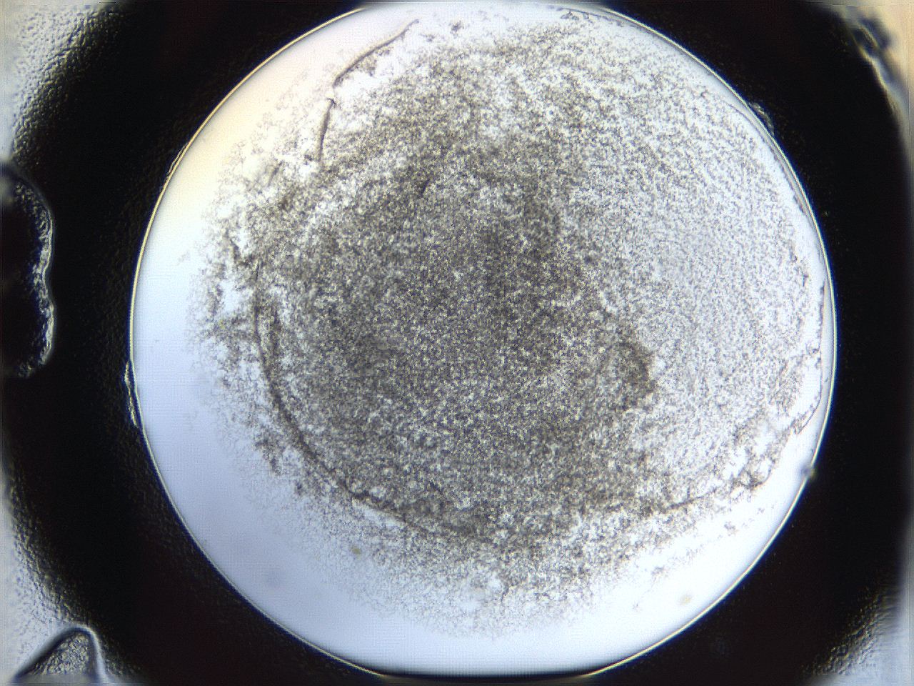 06i3_B11_ImagerDefaults_3.jpg