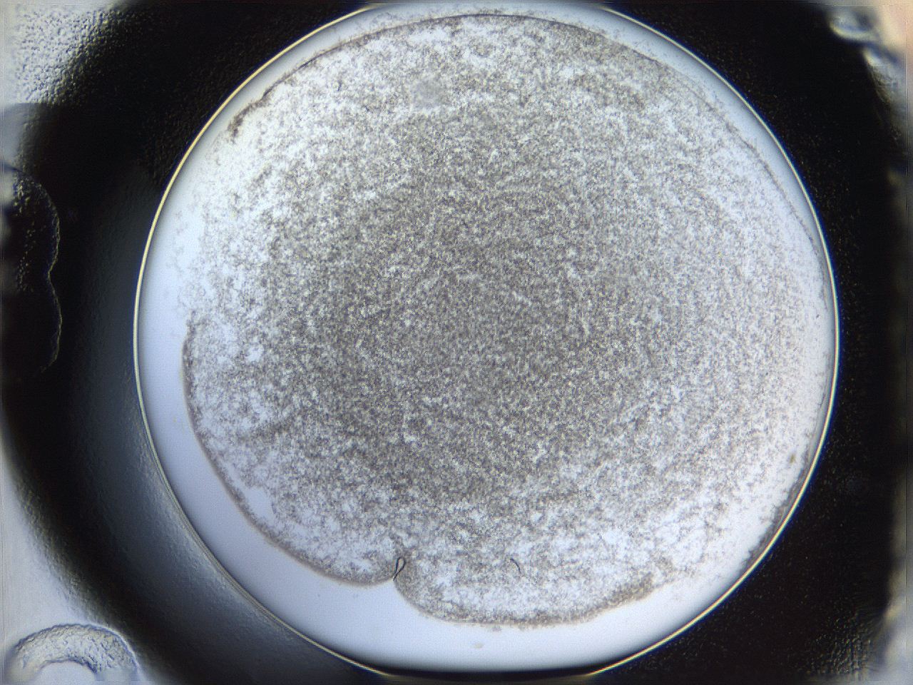06i3_B12_ImagerDefaults_3.jpg
