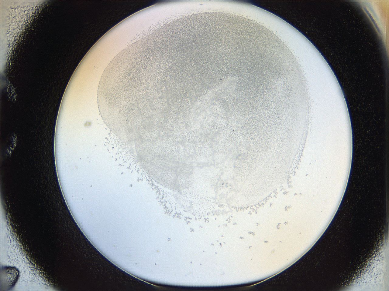 06i3_C7_ImagerDefaults_5.jpg