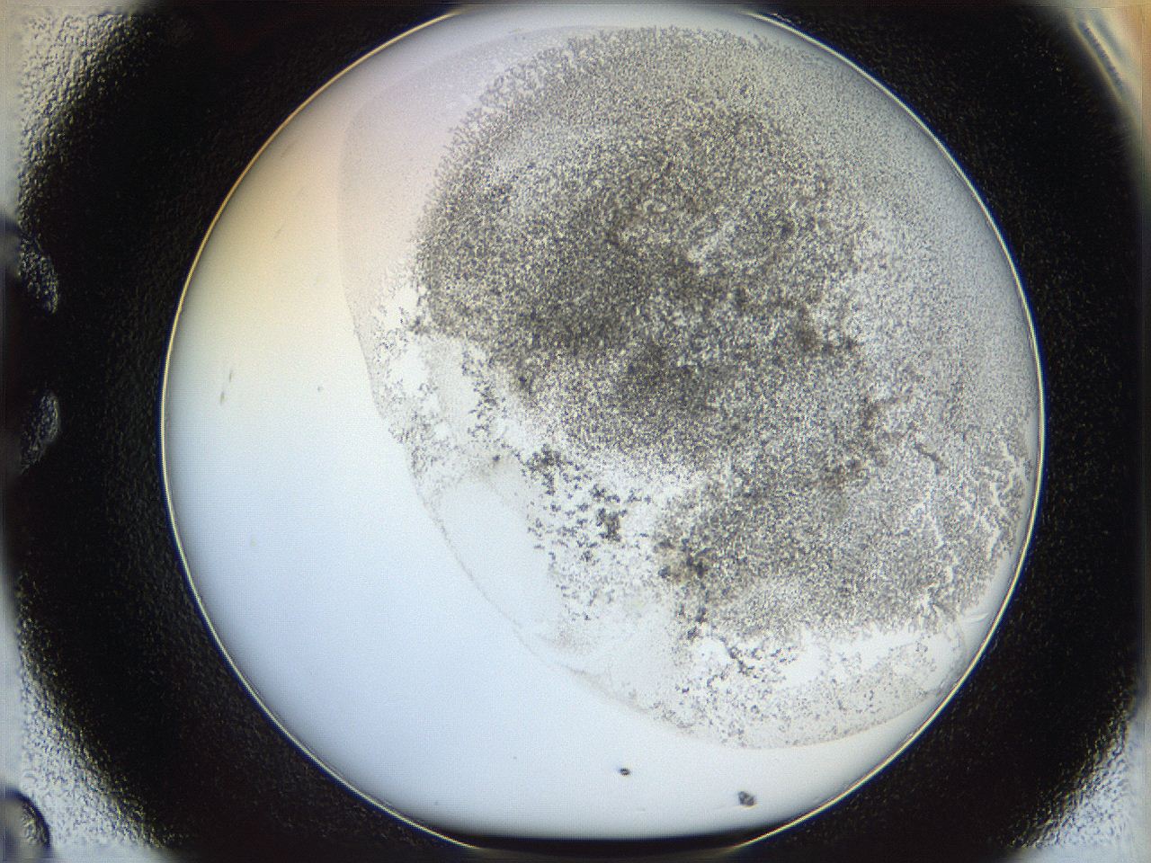 06i3_C8_ImagerDefaults_3.jpg