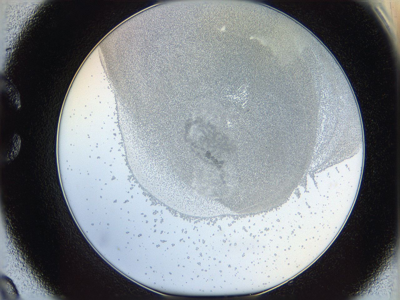 06i3_C9_ImagerDefaults_5.jpg