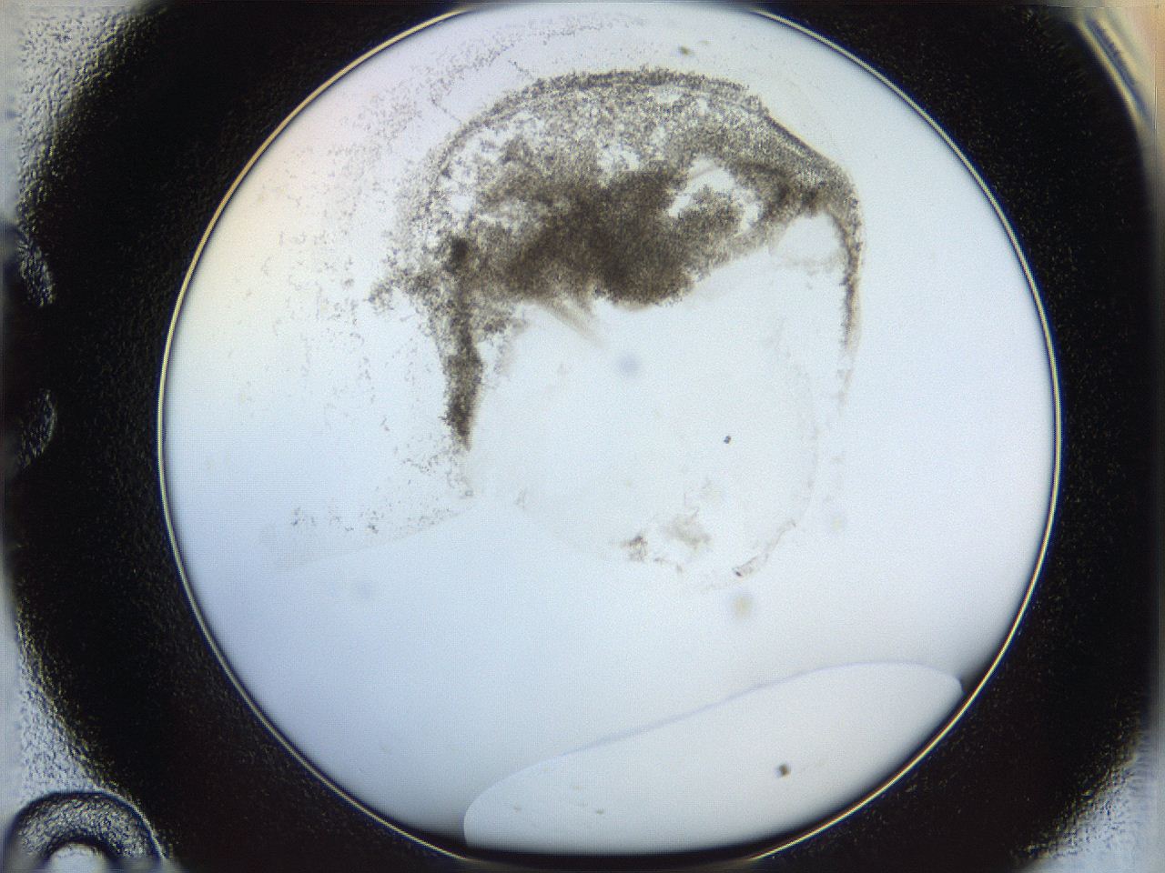 06i3_C10_ImagerDefaults_3.jpg