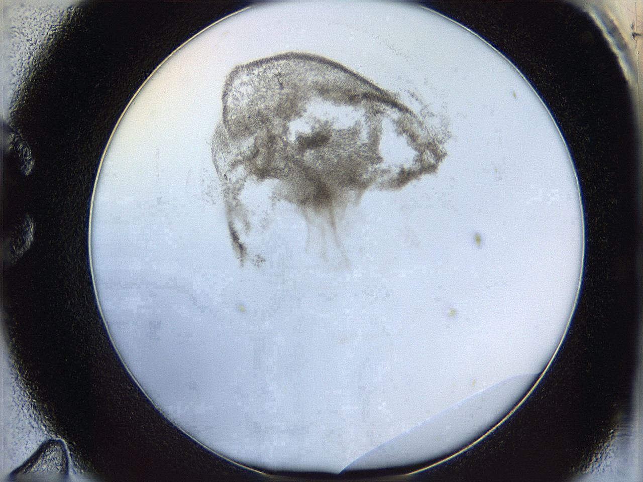 06i3_C11_ImagerDefaults_3.jpg