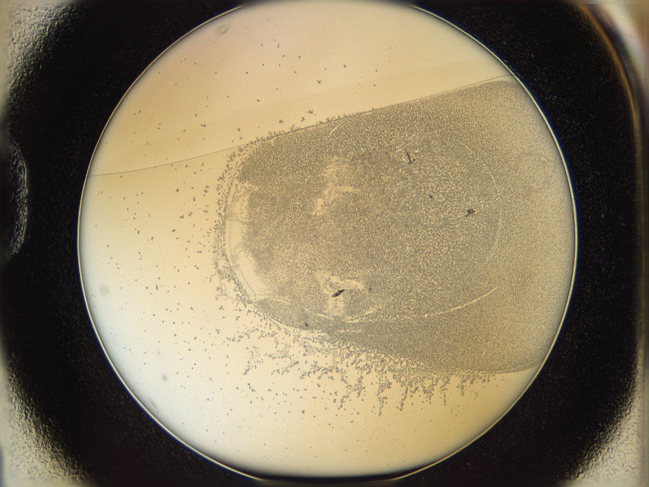 06i3_D1_ImagerDefaults_5.jpg