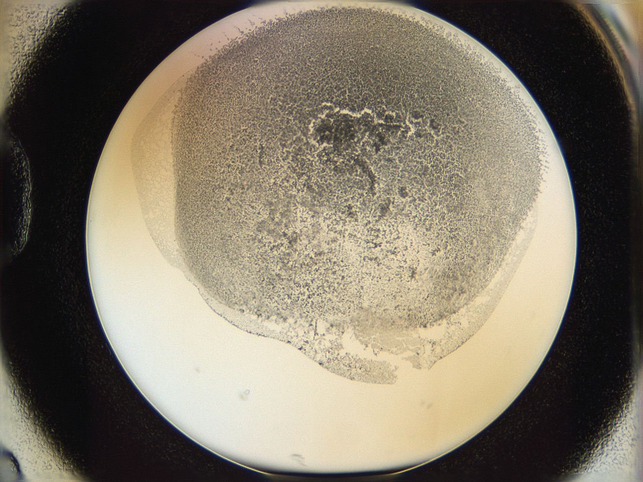06i3_D2_ImagerDefaults_3.jpg