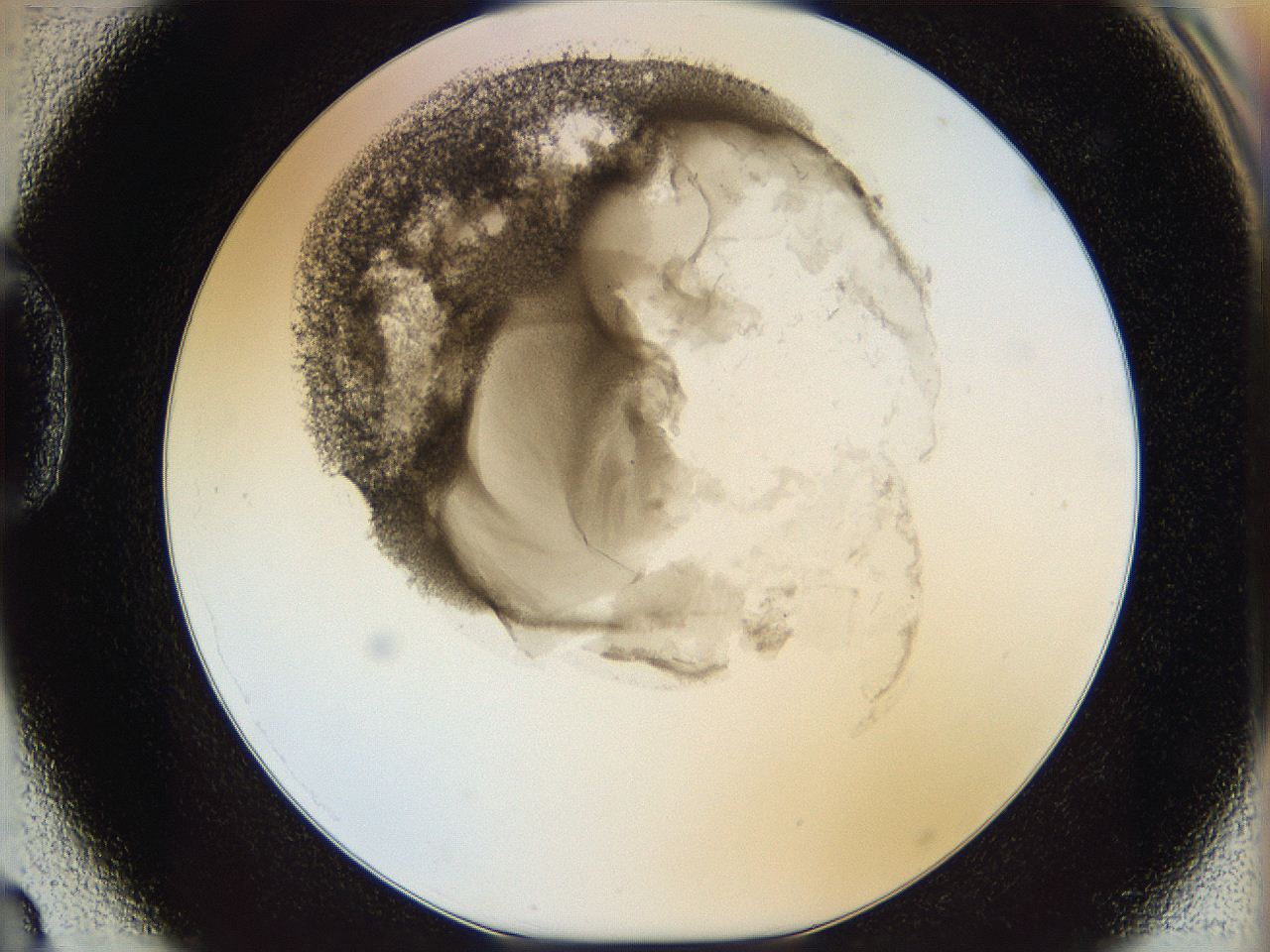06i3_D3_ImagerDefaults_3.jpg