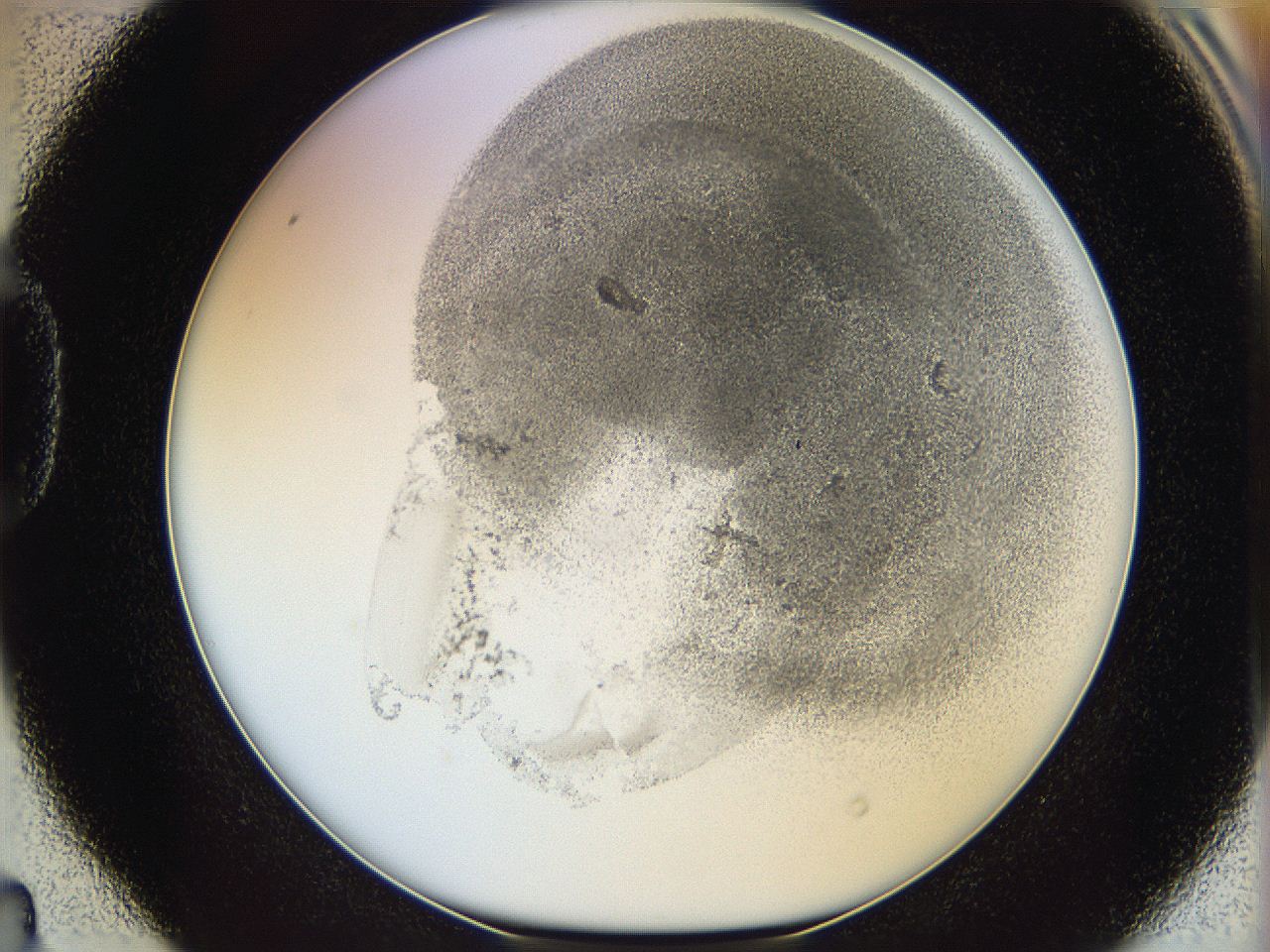 06i3_D4_ImagerDefaults_3.jpg
